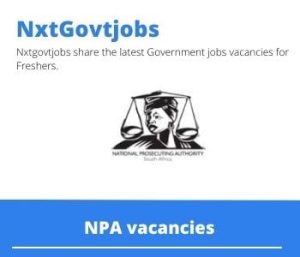 NPA Data Capturer Jobs 2022 Apply now @npa.gov.za