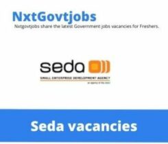 SEDA Business Advisor Vacancies in Polokwane  – Deadline 10 Jul 2023