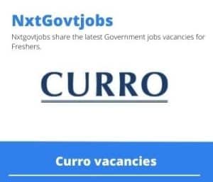 Curro English HL Teacher Vacancies in Polokwane – Deadline 01 Apr 2024 Fresh Released