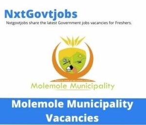 Molemole Municipality IT Support Technician Vacancies in Polokwane – Deadline 15 Aug 2023