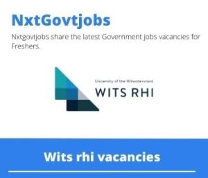Wits rhi Lay Counsellor Vacancies in Mopani – Deadline 30 Jan 2024