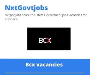 Bcx Jnr Tech Officer Customer Engineer Vacancies in Tzaneen – Deadline 10 Jul 2023